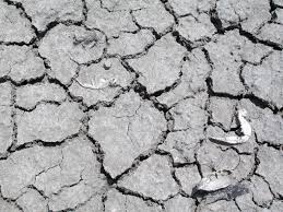 erosión de suelos a causa de la deforestación