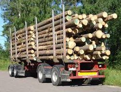 Transporte de madera