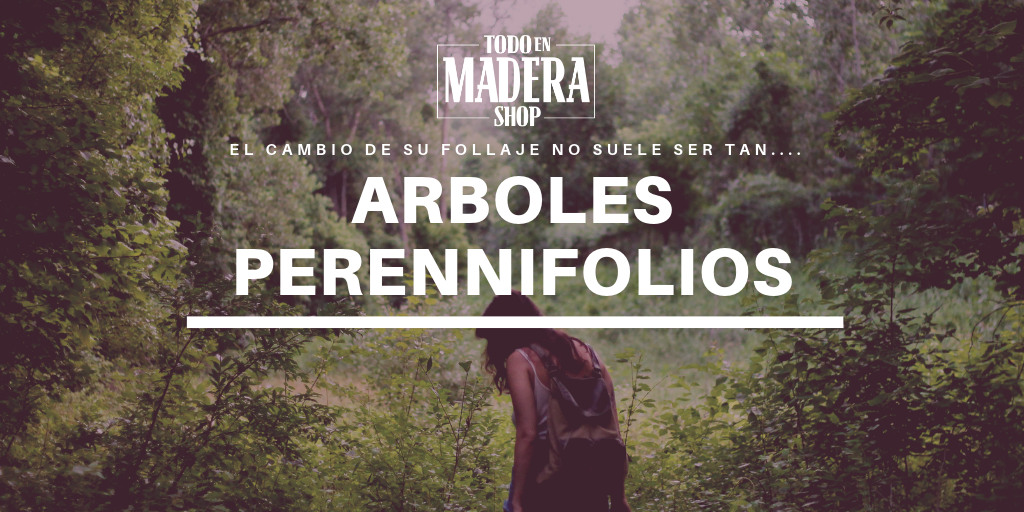 arboles de hojas perennes