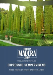 poster cipres italiano