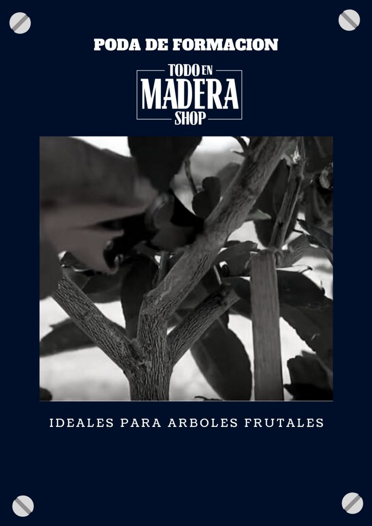 poda de formacion