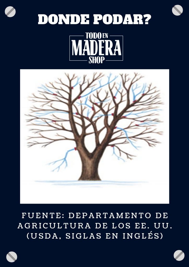 puntos para la poda optima de arboles