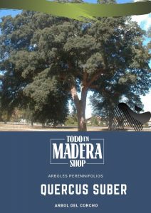 poster quercus suber