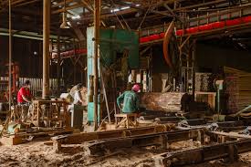aserrado de madera en fabrica