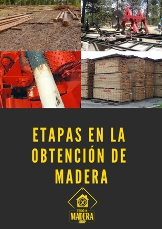 poster ilustrando las etapas de la obtencion de madera