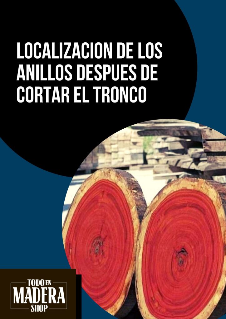 anillos en la madera