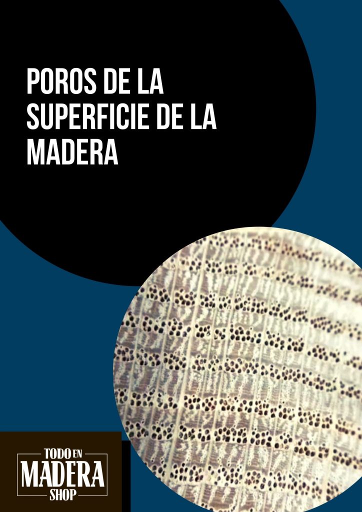 porosidad de la madera