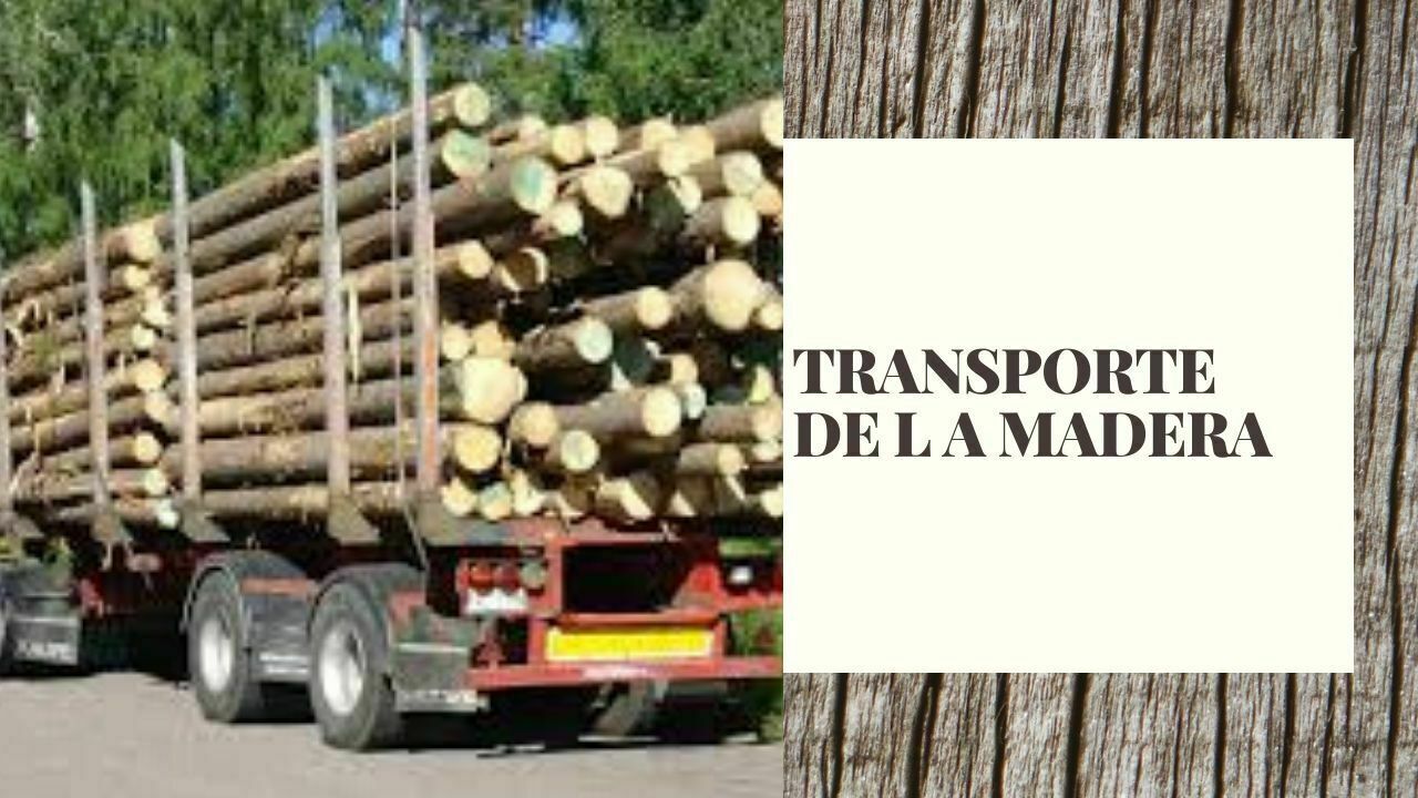 transporte-de-la-madera-miniatura transporte-de-la-madera-miniatura